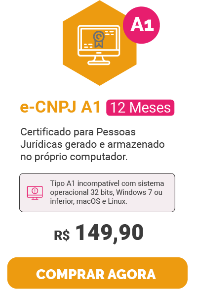 e-CNPJ A1 12 Meses