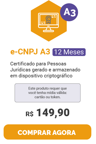 e-CNPJ A3 12 Meses